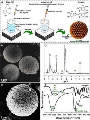 A Facile Method to Synthesize 3D Pomegranate-like Polydopamine Microspheres